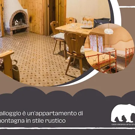 Orso Bruno *